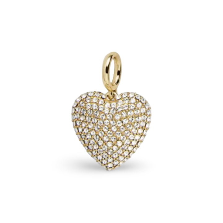 Large Gold Filled Charms